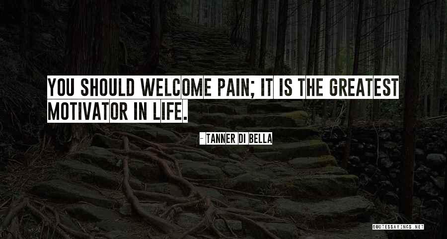 Coldest Anime Quotes By Tanner Di Bella Coldest Anime Quotes By Tanner Di Bella