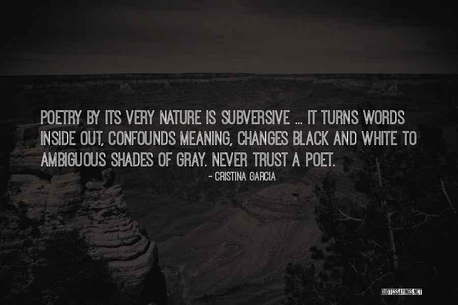 Coldest Water Quotes By Cristina Garcia Coldest Water Quotes By Cristina Garcia