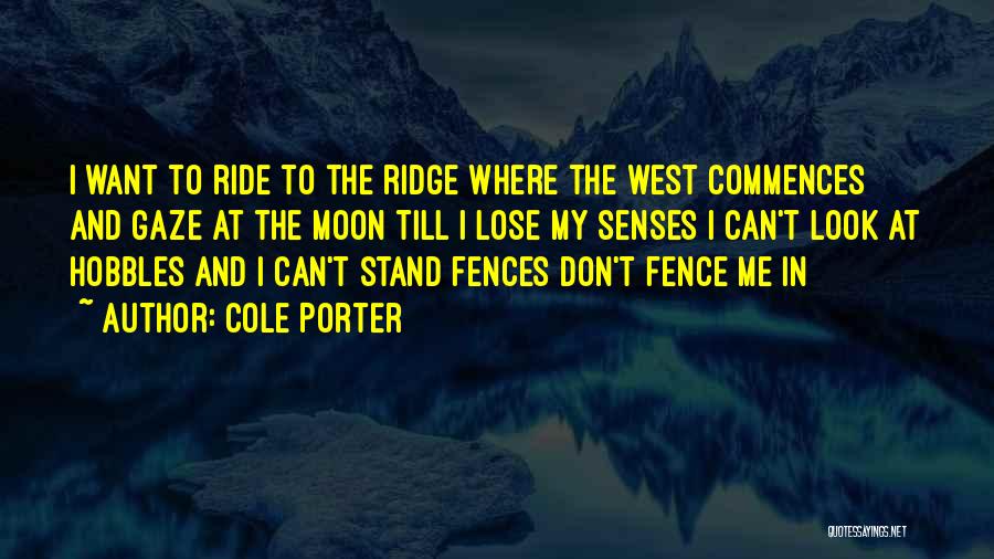 Cole Porter Quotes 486455