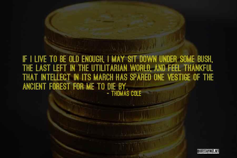 Cole World Quotes By Thomas Cole Cole World Quotes By Thomas Cole