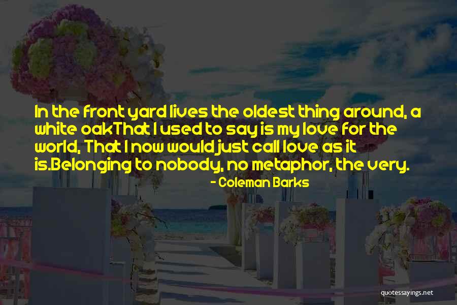 Coleman Barks Quotes 1760575