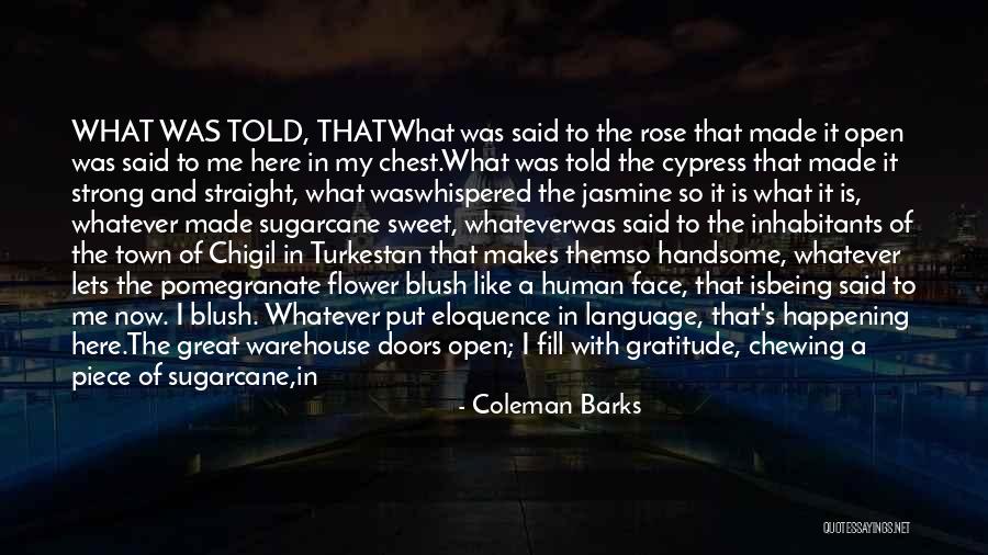 Coleman Barks Quotes 584454