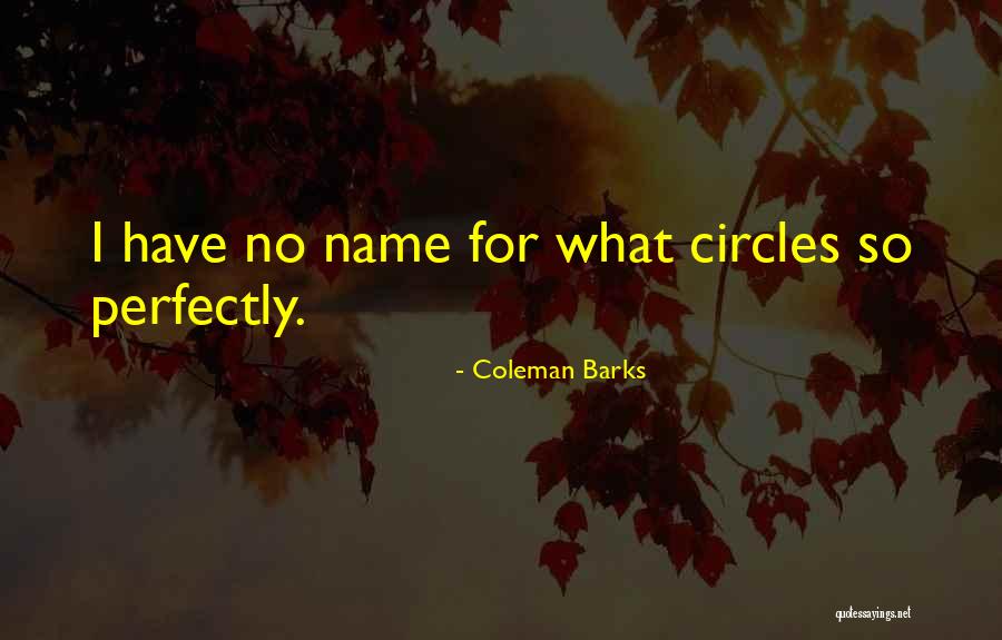 Coleman Barks Quotes 939551