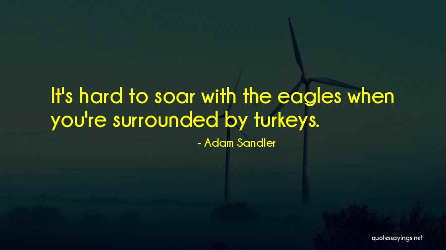 Coleman Tents Quotes By Adam Sandler Coleman Tents Quotes By Adam Sandler