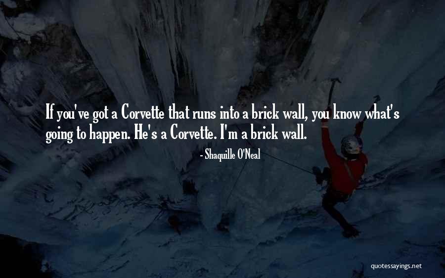 Coleoptera Characteristics Quotes By Shaquille O'Neal Coleoptera Characteristics Quotes By Shaquille O'Neal