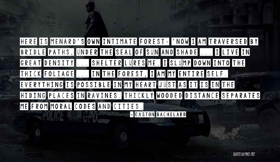 Colesberry The Wire Quotes By Gaston Bachelard