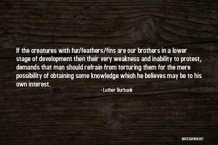 Colettes Houston Quotes By Luther Burbank Colettes Houston Quotes By Luther Burbank