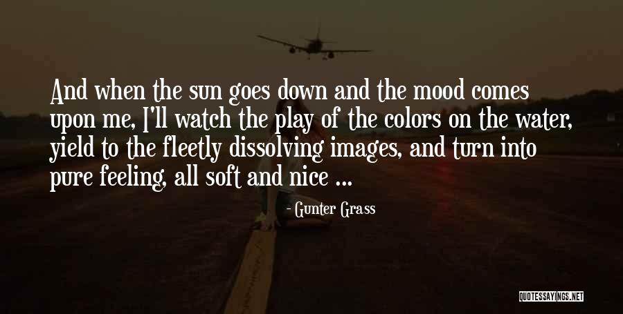 Colhoun Family Foundation Quotes By Gunter Grass Colhoun Family Foundation Quotes By Gunter Grass
