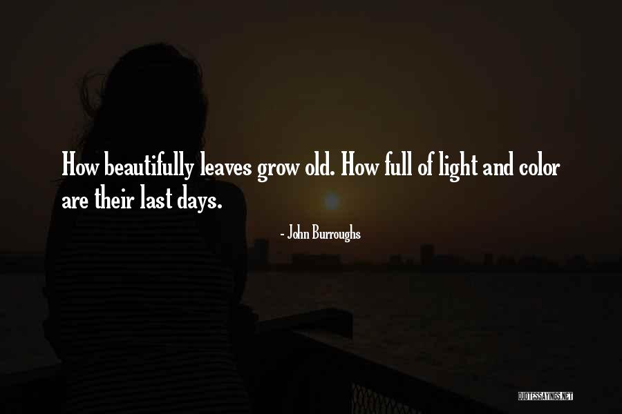 Colibries Quotes By John Burroughs Colibries Quotes By John Burroughs