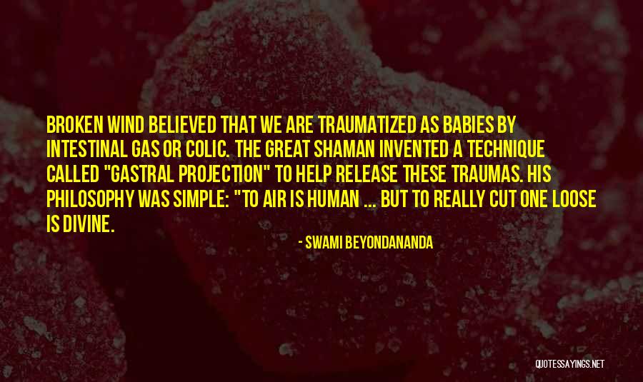 Colic Quotes By Swami Beyondananda Colic Quotes By Swami Beyondananda