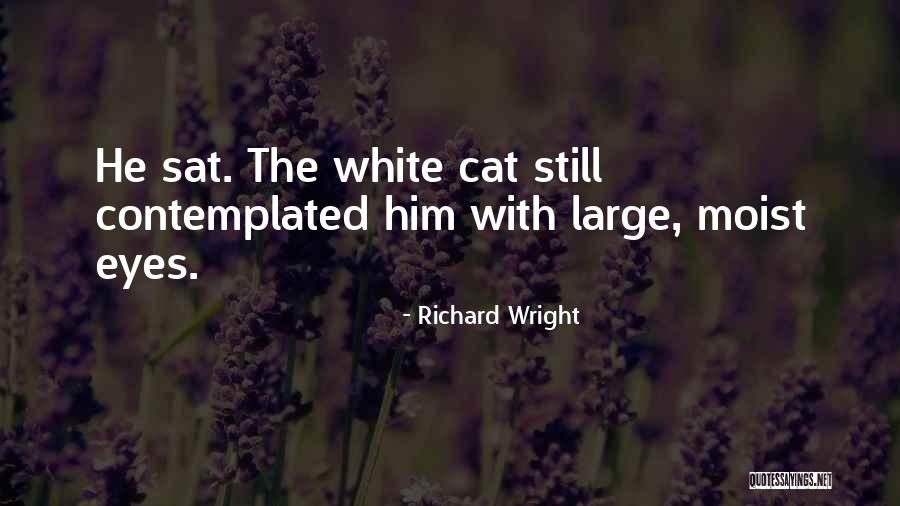 Coliere Cu Luna Quotes By Richard Wright Coliere Cu Luna Quotes By Richard Wright