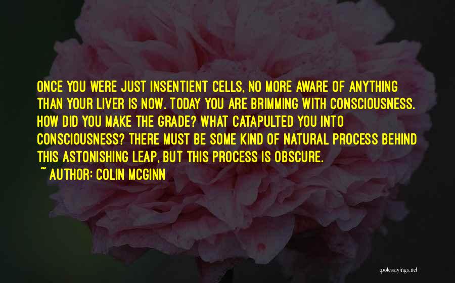 Colin McGinn Quotes 1402273