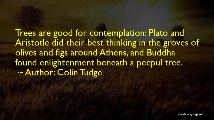 Colin Tudge Quotes 601457