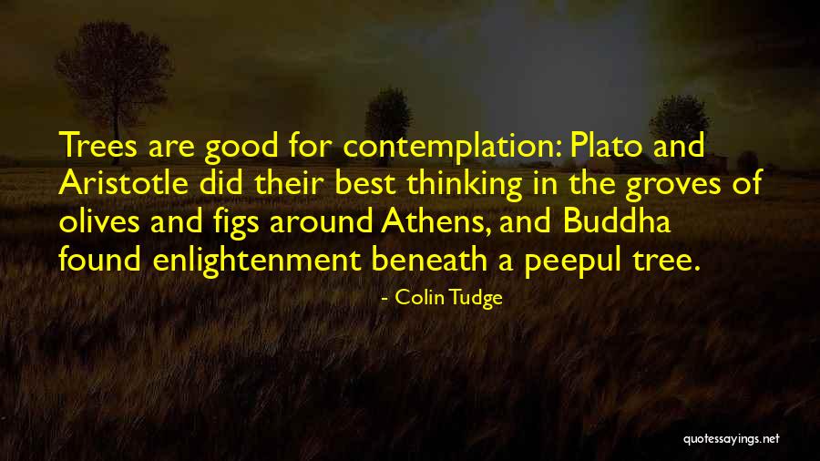 Colin Tudge Quotes 601457