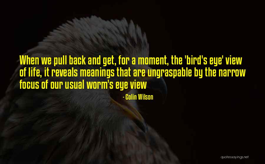 Colin Wilson Quotes 1066507