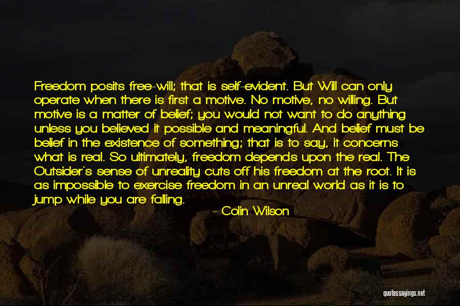 Colin Wilson Quotes 1705507