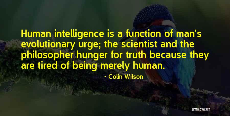 Colin Wilson Quotes 547715