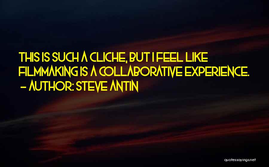 Collaborative Quotes By Steve Antin