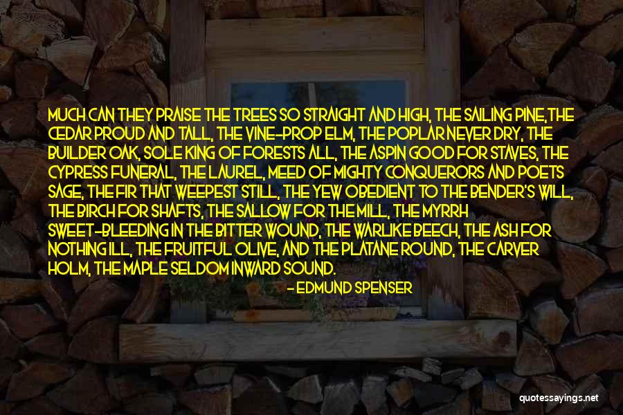 Colladay Jointer Quotes By Edmund Spenser Colladay Jointer Quotes By Edmund Spenser
