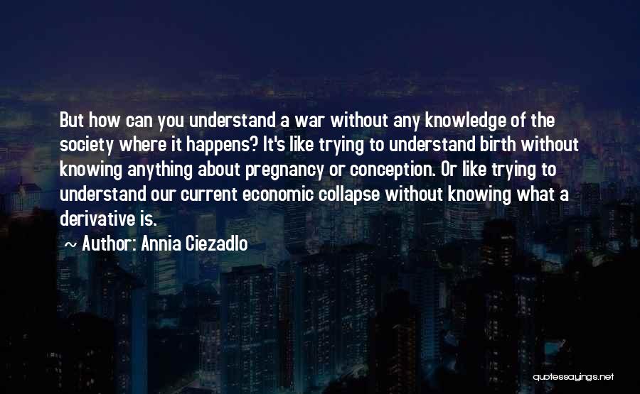 Collapse Of Society Quotes By Annia Ciezadlo