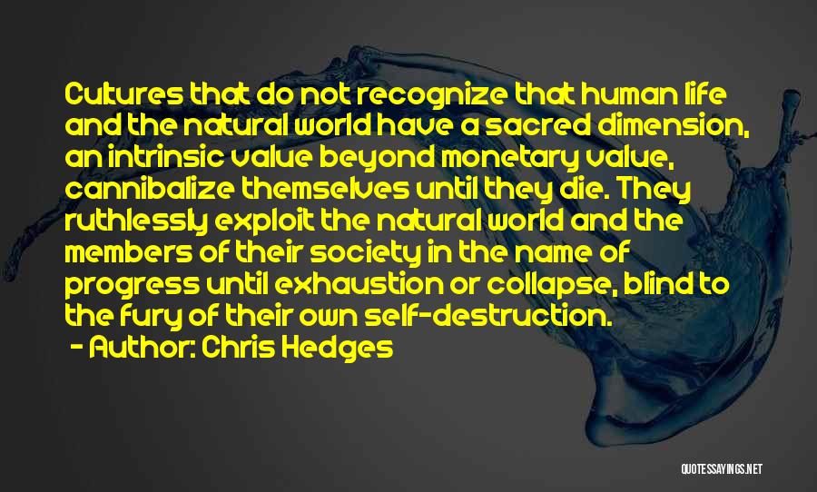 Collapse Of Society Quotes By Chris Hedges