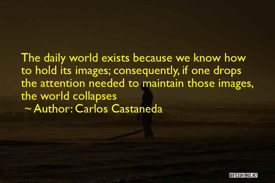 Collapse Quotes By Carlos Castaneda