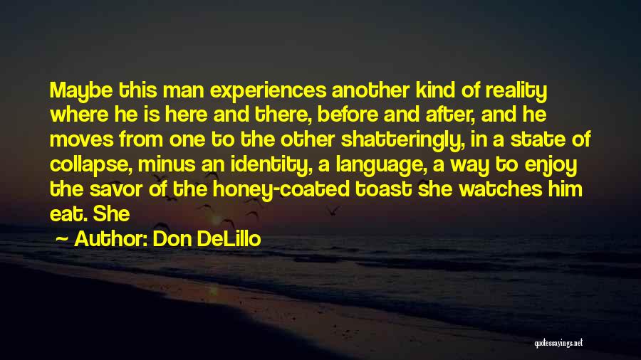 Collapse Quotes By Don DeLillo