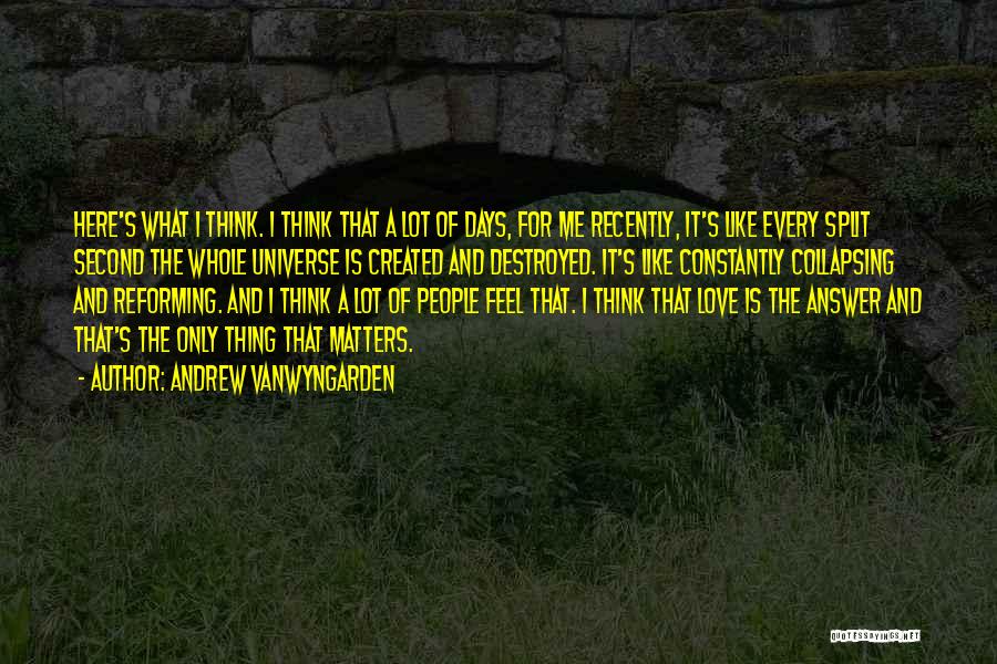 Collapsing Love Quotes By Andrew VanWyngarden