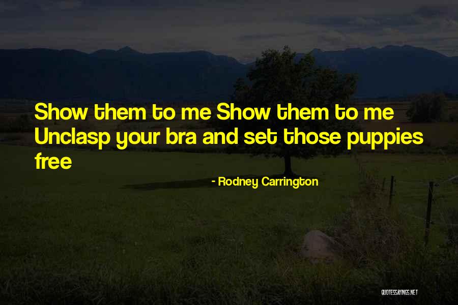 Collars For Humans Quotes By Rodney Carrington Collars For Humans Quotes By Rodney Carrington