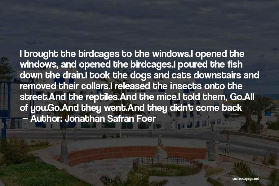 Collars Quotes By Jonathan Safran Foer