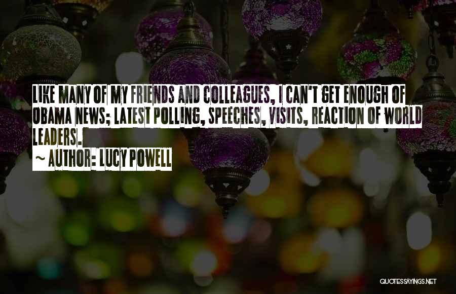Colleagues As Friends Quotes By Lucy Powell