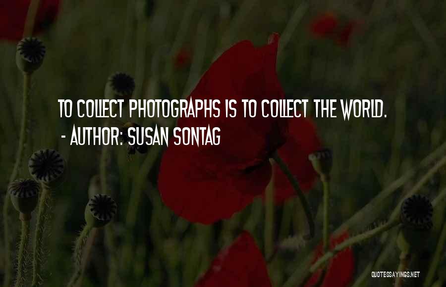 Collect Quotes By Susan Sontag