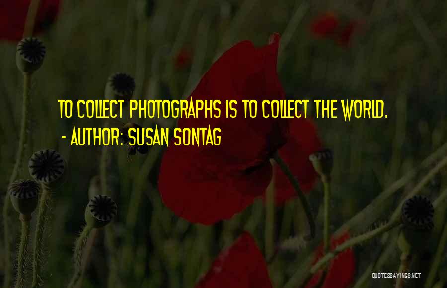 Collect Yourself Quotes By Susan Sontag