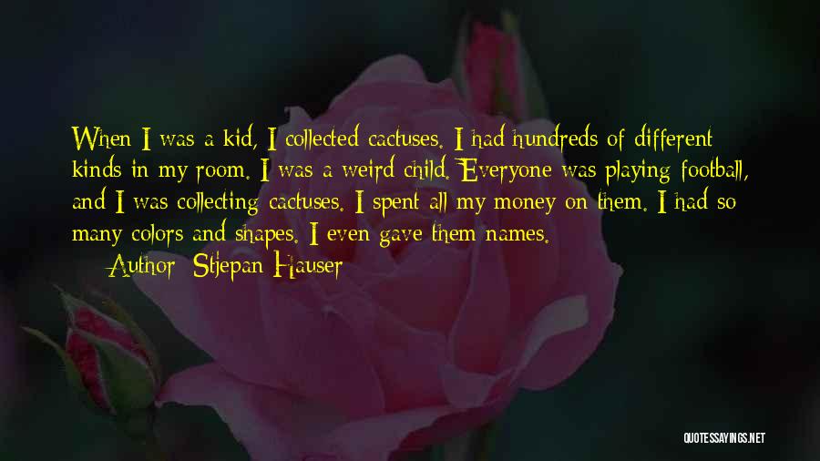 Collecting Money Quotes By Stjepan Hauser