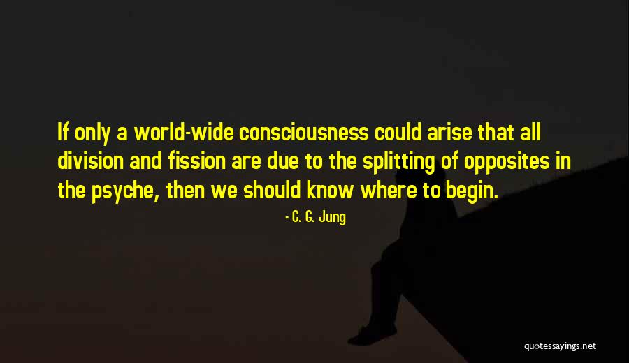 Collective Consciousness Quotes By C. G. Jung