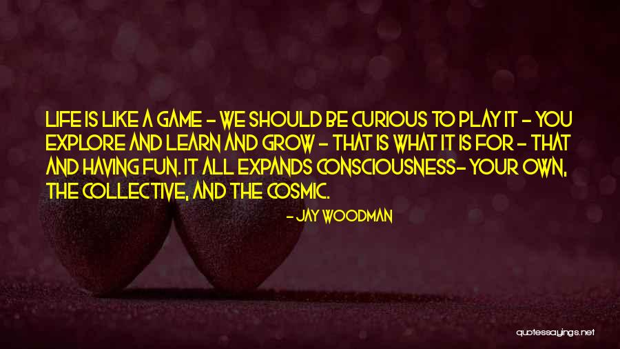 Collective Consciousness Quotes By Jay Woodman