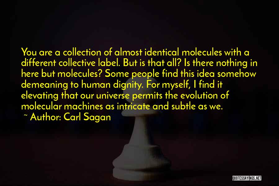 Collective Evolution Quotes By Carl Sagan