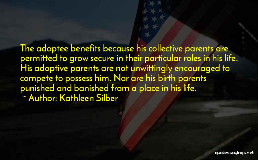 Collective Identity Quotes By Kathleen Silber