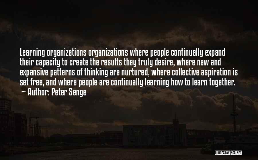 Collective Learning Quotes By Peter Senge