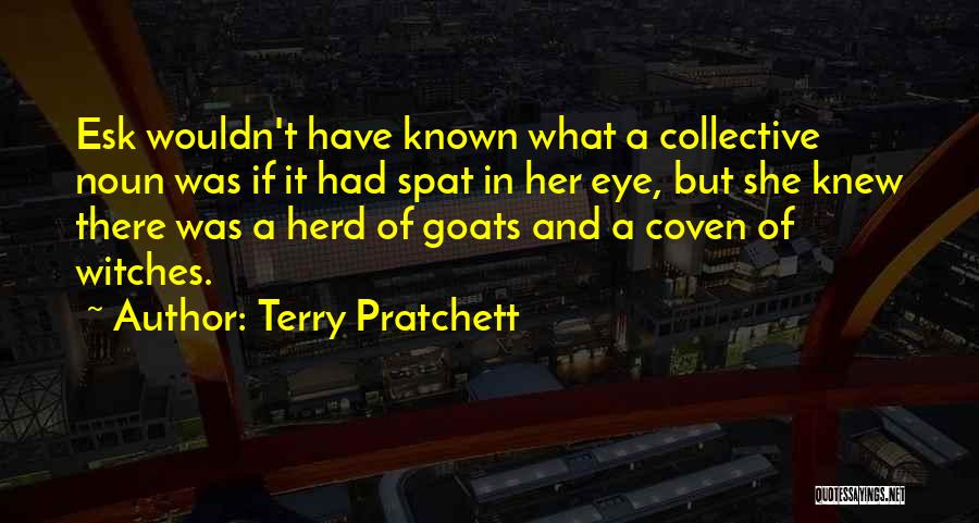 Collective Noun Quotes By Terry Pratchett