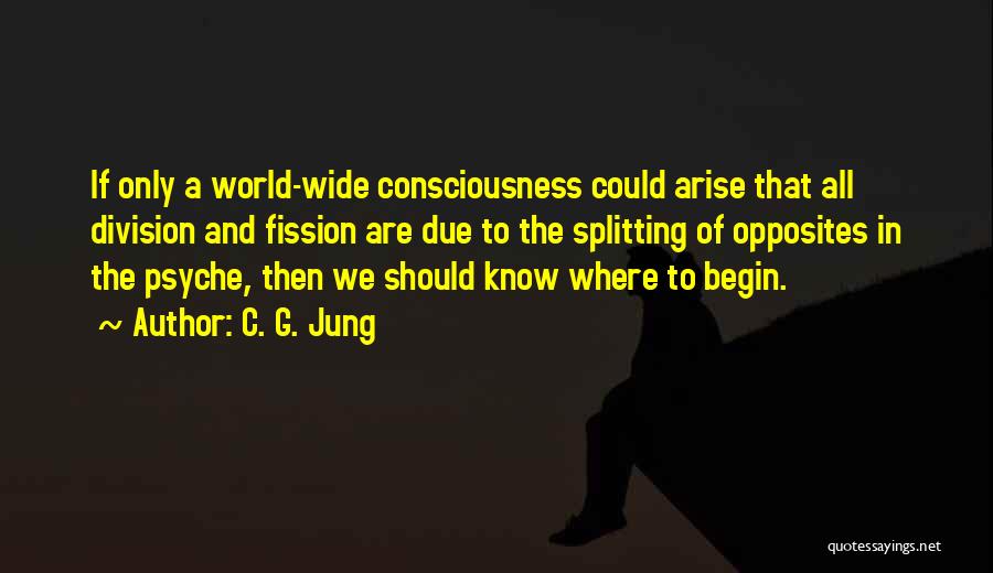 Collective Unconscious Quotes By C. G. Jung