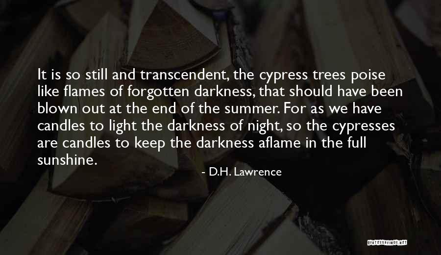 Collectivity And Knowing Quotes By D.H. Lawrence Collectivity And Knowing Quotes By D.H. Lawrence