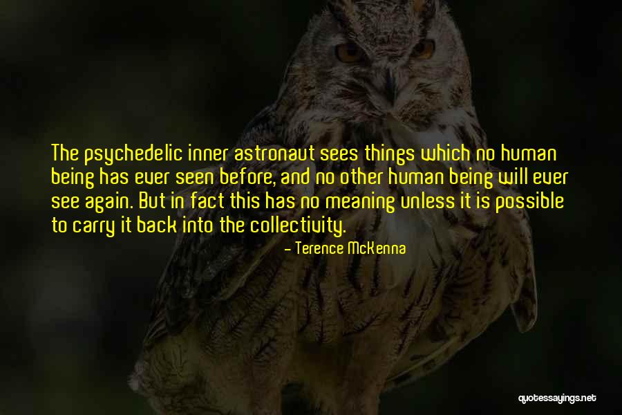 Collectivity Quotes By Terence McKenna