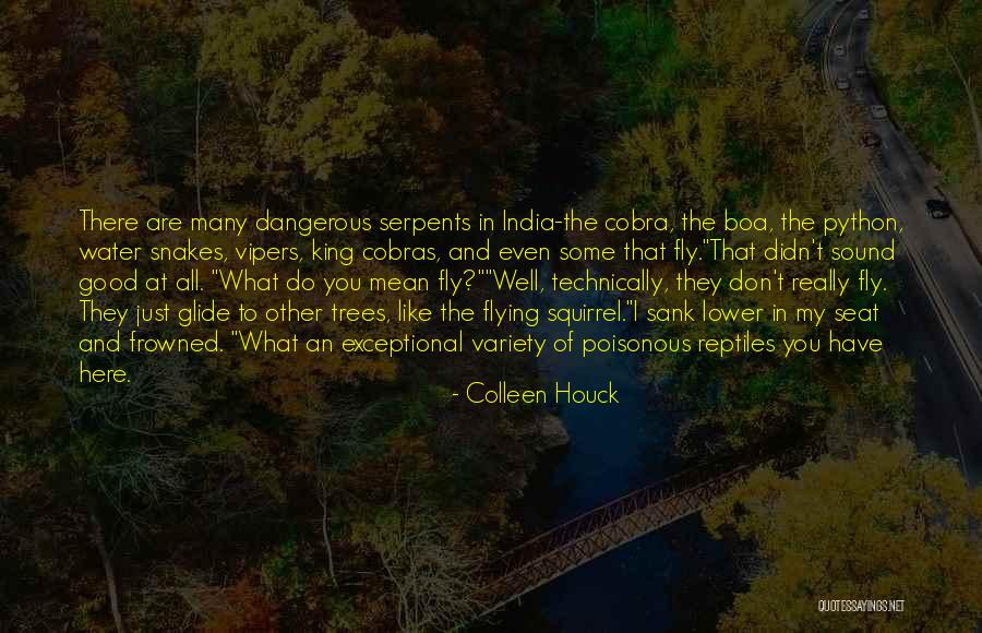 Colleen Houck Quotes 1293645