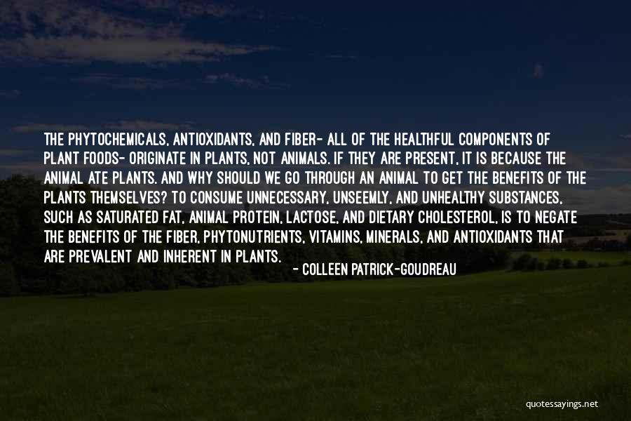 Colleen Patrick-Goudreau Quotes 1292576