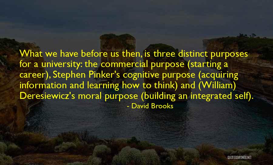 College And Career Quotes By David Brooks College And Career Quotes By David Brooks