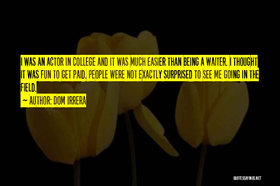 College And Fun Quotes By Dom Irrera