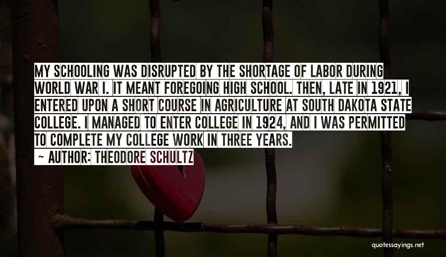 College And Work Quotes By Theodore Schultz