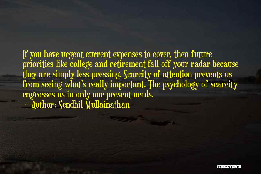 College Expenses Quotes By Sendhil Mullainathan