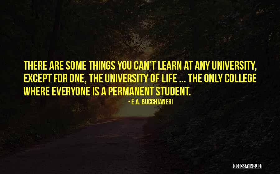 College Life Experience Quotes By E.A. Bucchianeri